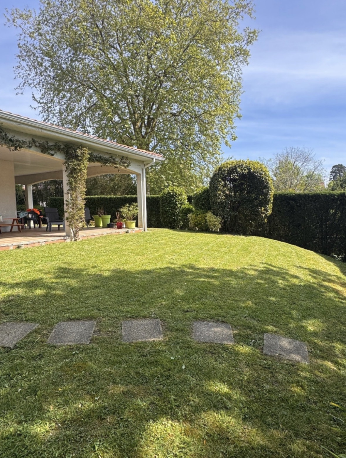 Jardin après entretien - pelouse tondue